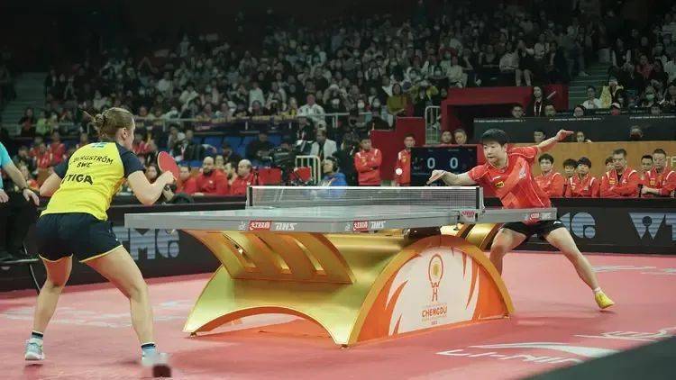 中国队碾压瑞典队，林高远关键制胜