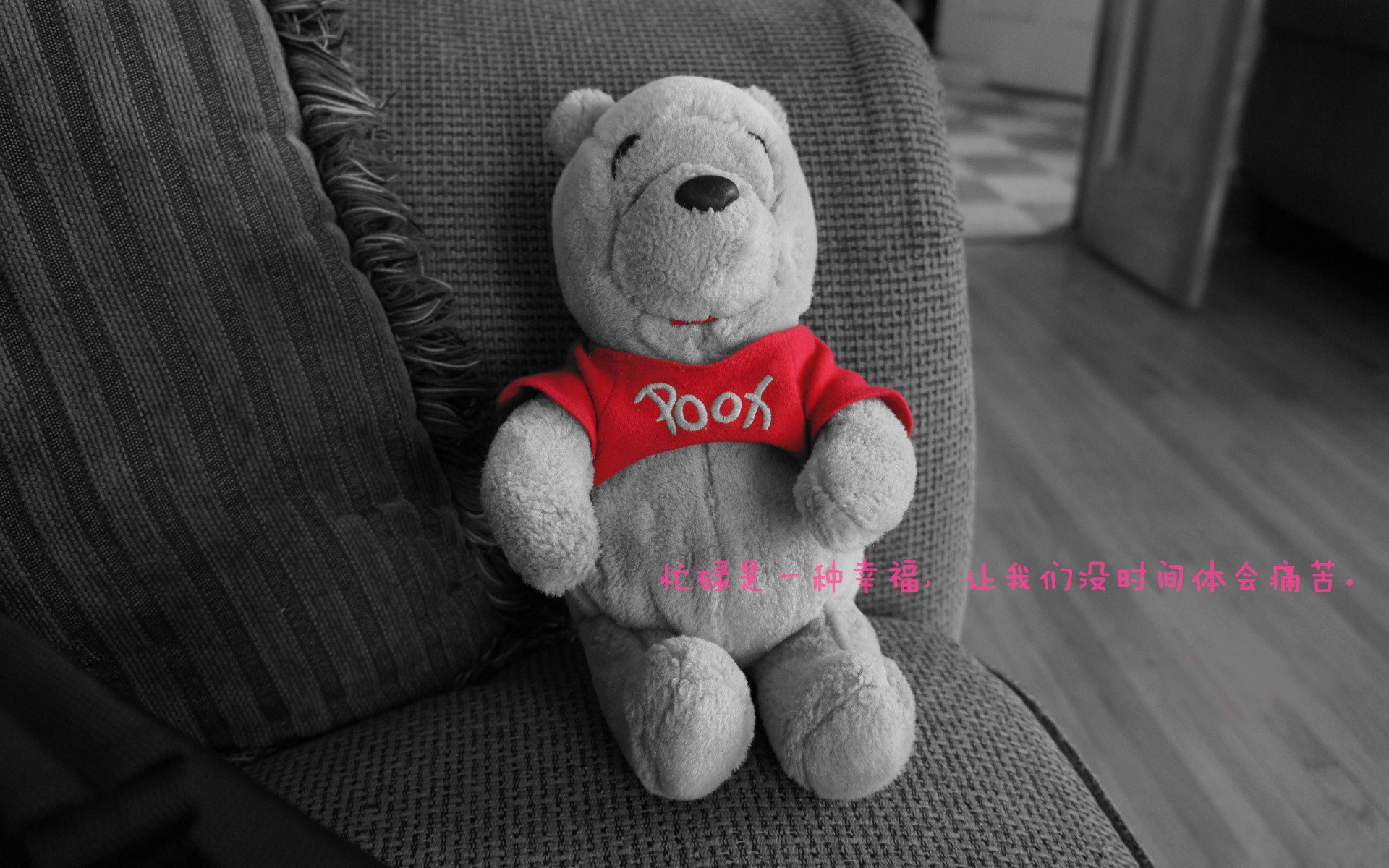 年度焦点之战，深圳队强势击溃上海队，篮球盛宴引爆狂潮