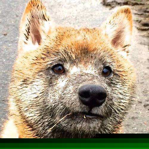 开云sport-从阴影到救赎者，霍勒迪在国王对阵凯尔特人的关键时刻铸就自我救赎