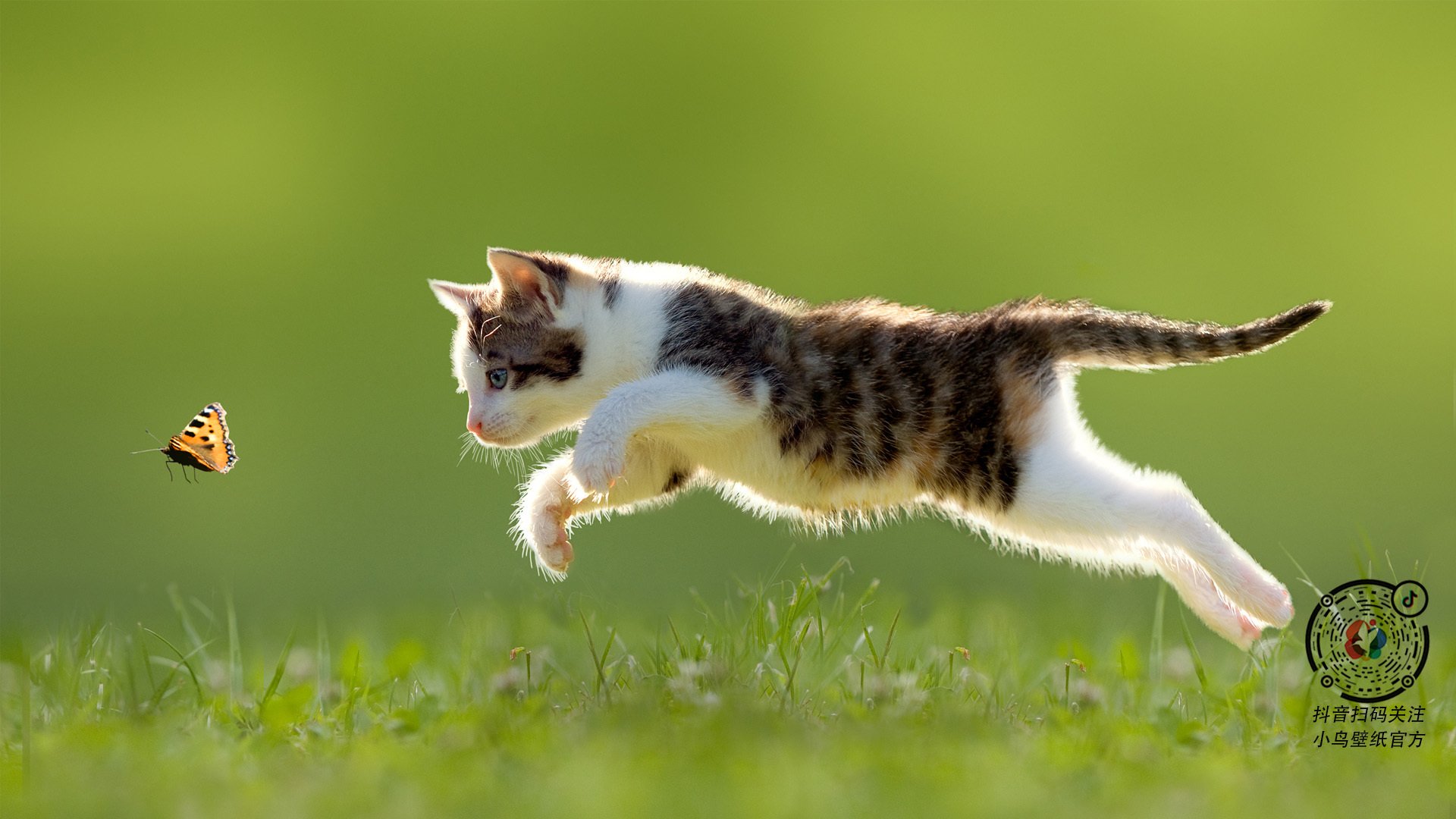 范戴克，那个把澳大利亚时钟拨快了一秒的人