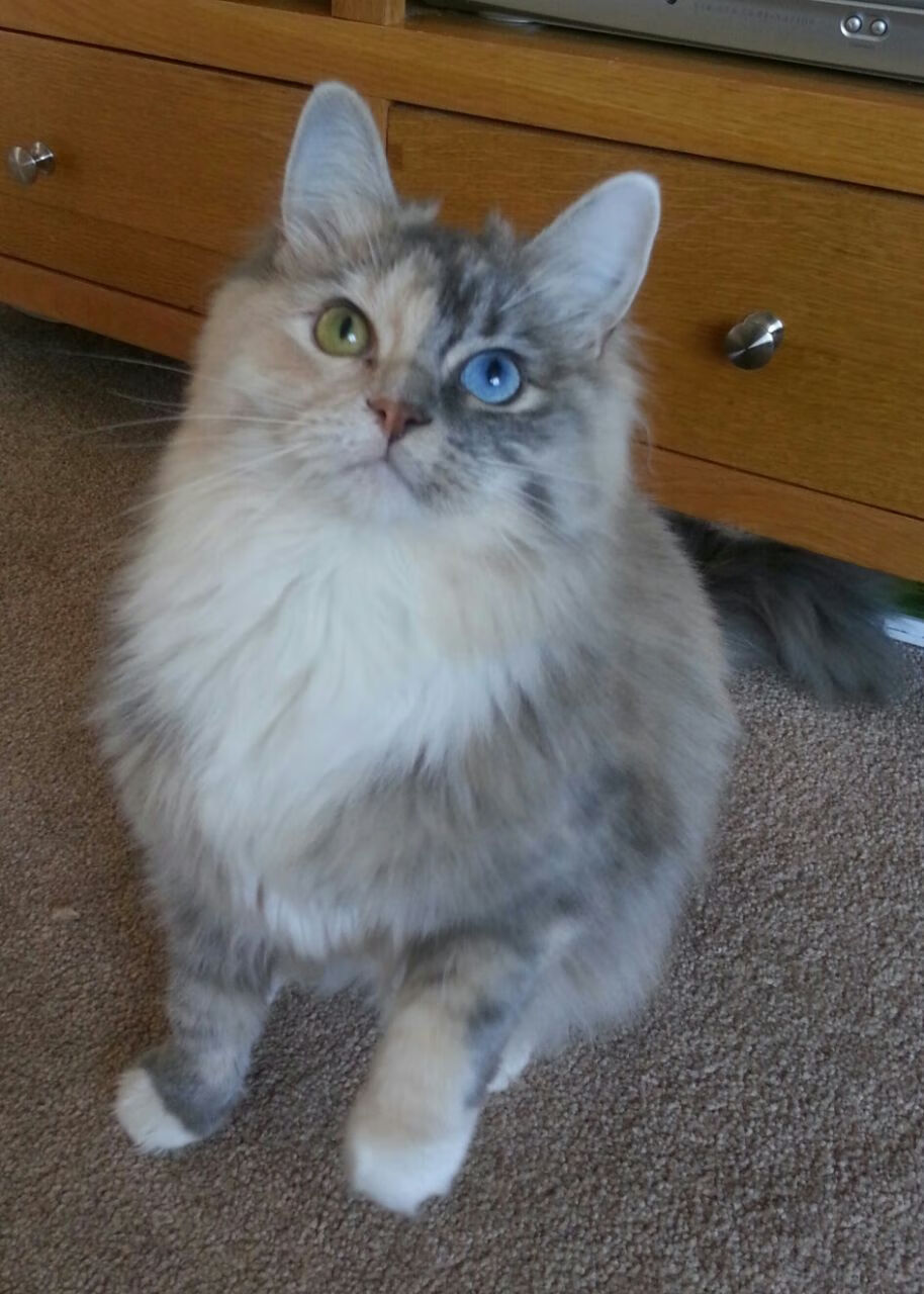 神来之笔定乾坤！拉亚无争议当选全场最佳，诠释门将即基石的现代足球真谛