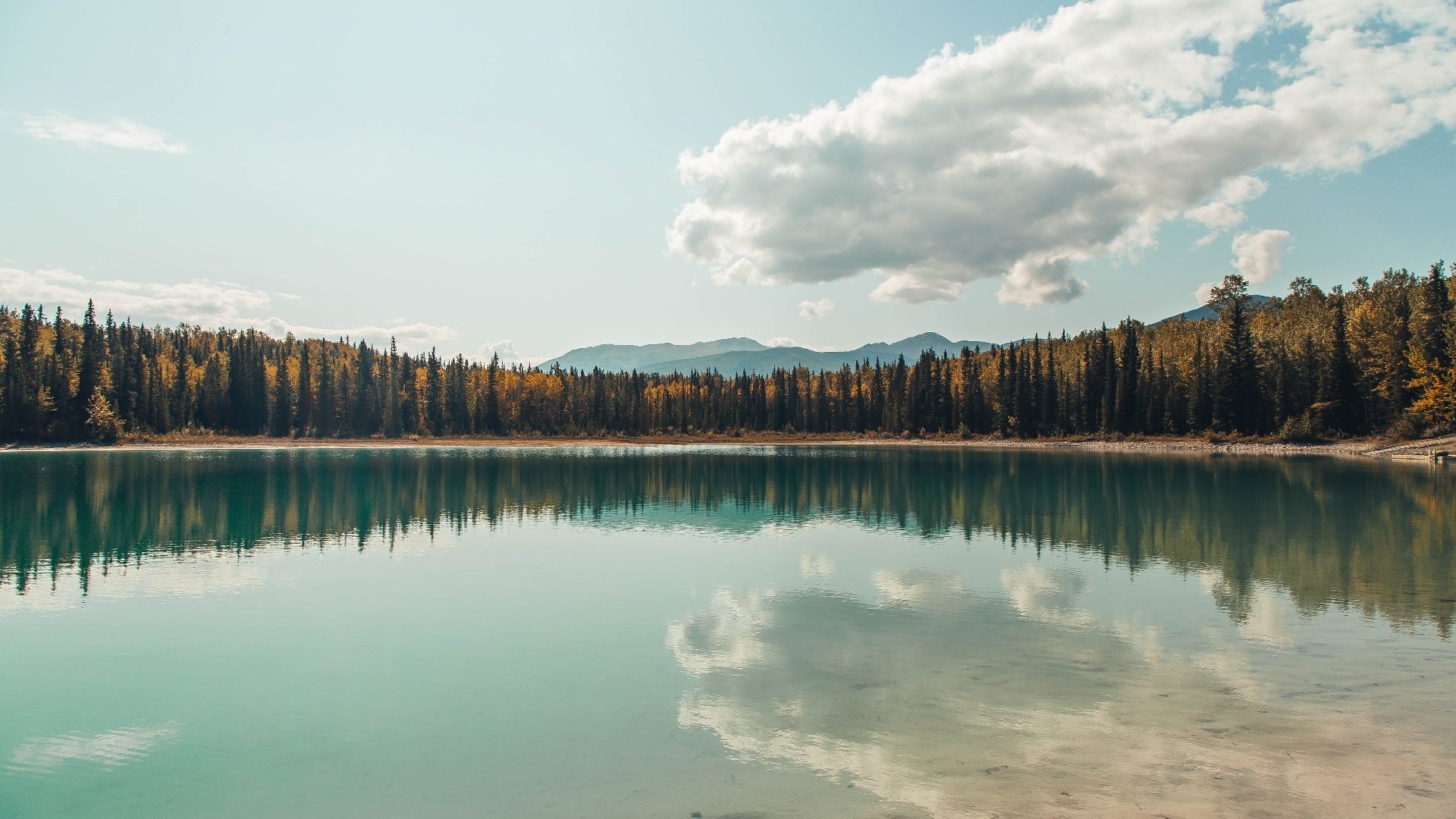 开云体育在线-次元破壁之战，当76人全息击溃广东，东契奇如何成为跨维度关键先生？