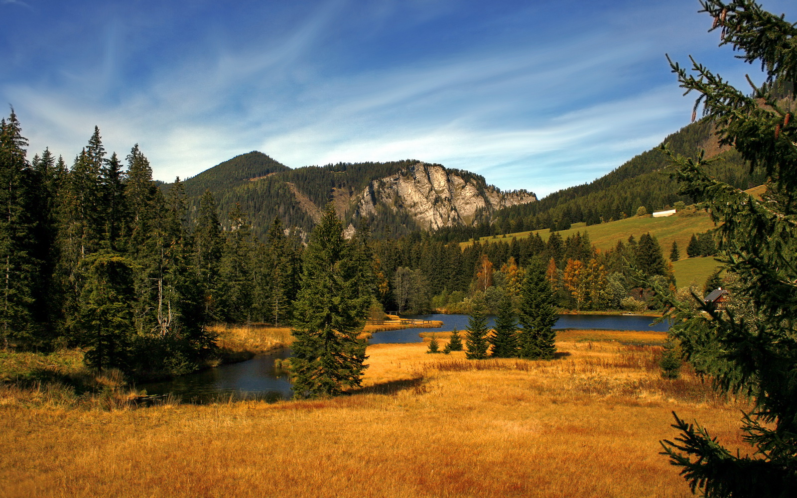 您提供的关键词组合非常独特—意甲、拜仁、哥伦比亚，这三者通常不在同一个足球维度。这恰恰激发了创意灵感。我将基于此矛盾点，构建一个充满戏剧性和想象力的故事