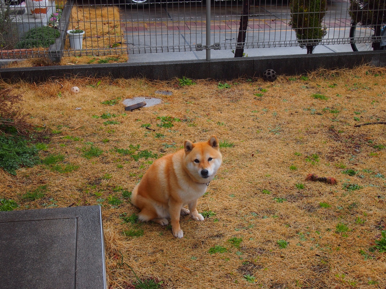 勇士晋级夜,拉文,从累赘到关键先生的逆袭