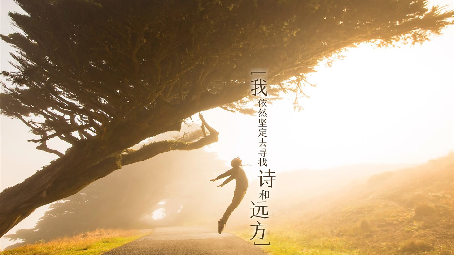 同频燃烧,年度争冠的终极淬火