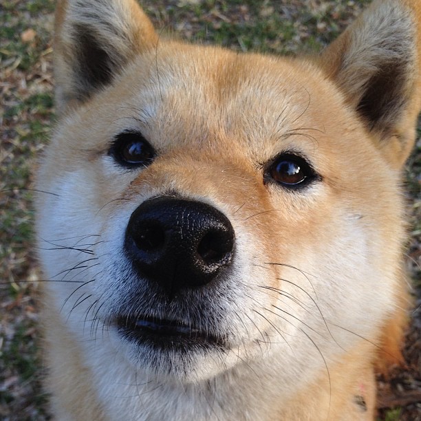 皮克临危救主,卡塔尔末节上演惊天逆转力克雷恩