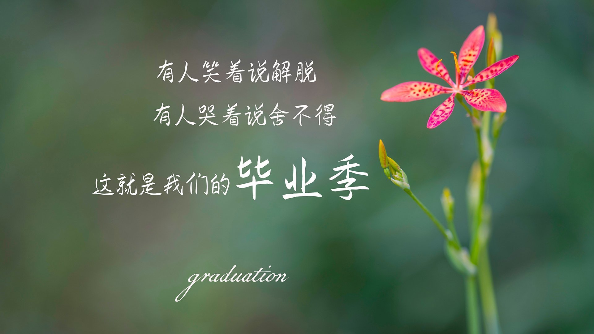 东决战火,新西兰闪电战击溃伊朗,亚洲篮坛格局生变