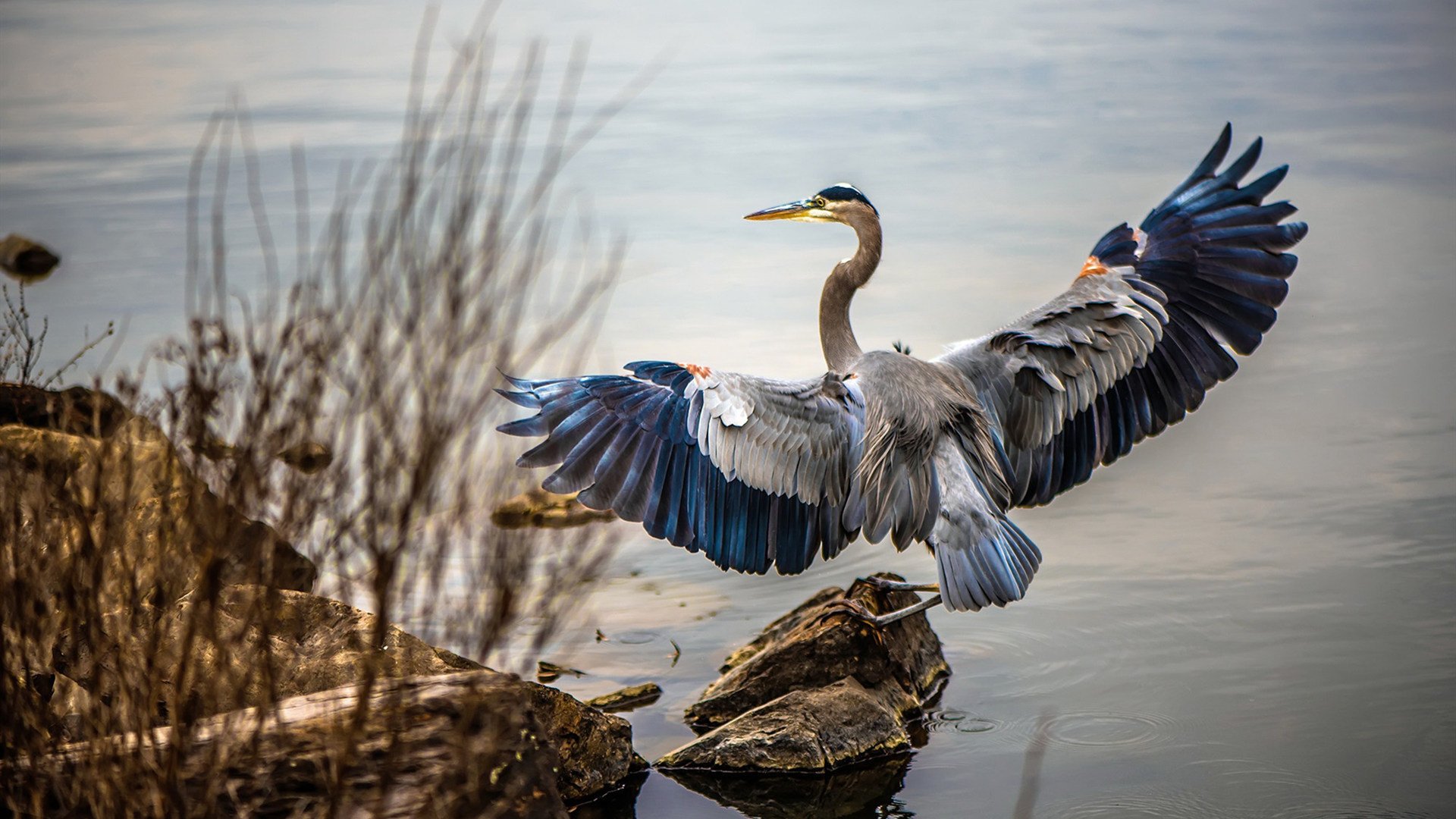 双星闪耀，新赛季之夜的速度与意志