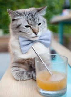 当火山遇见沙漠，卢卡库在奥运铁砧上锻打的历史隐喻