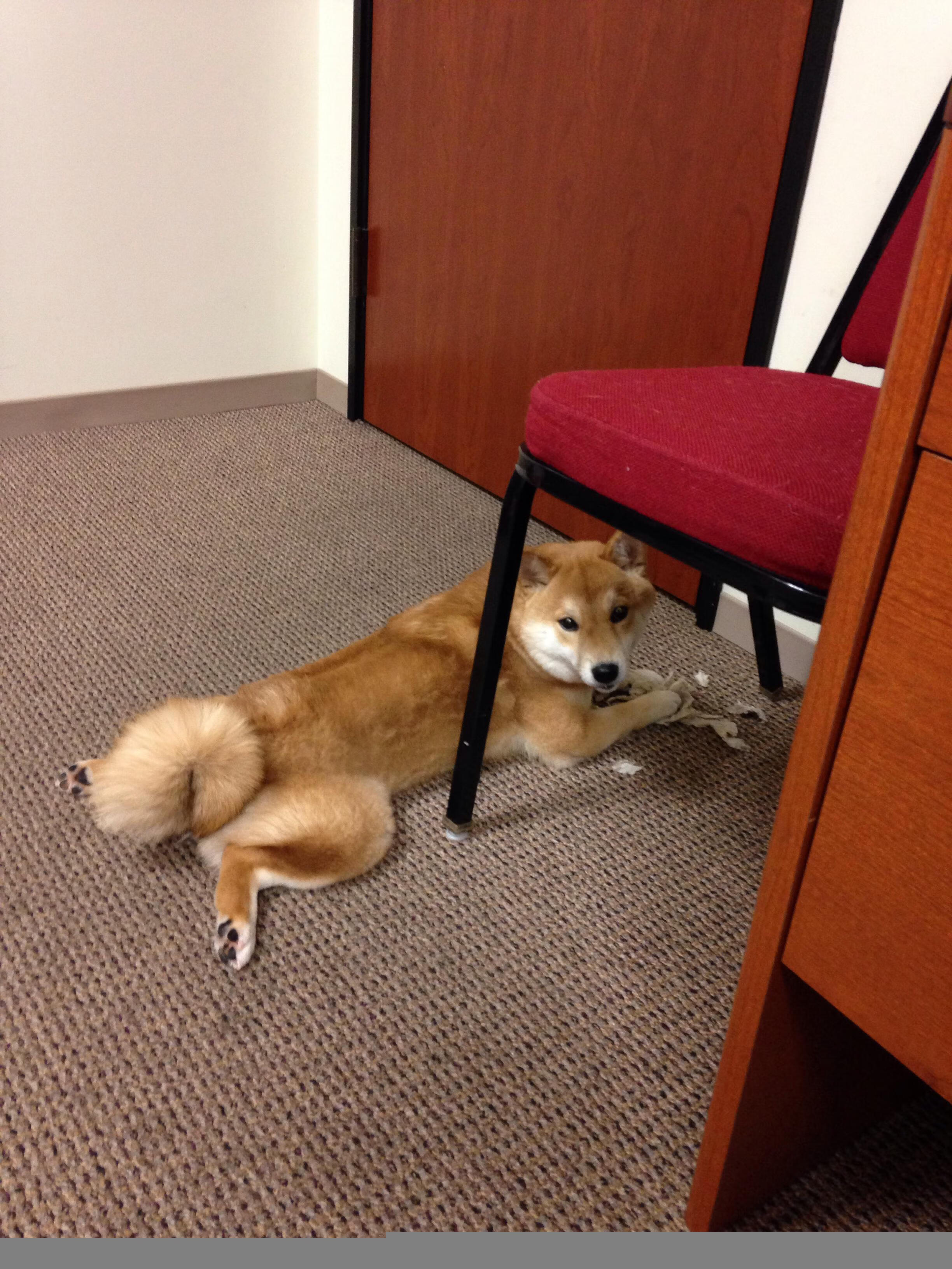 东方密码解锁欧冠，日本足球的塞维利亚时刻