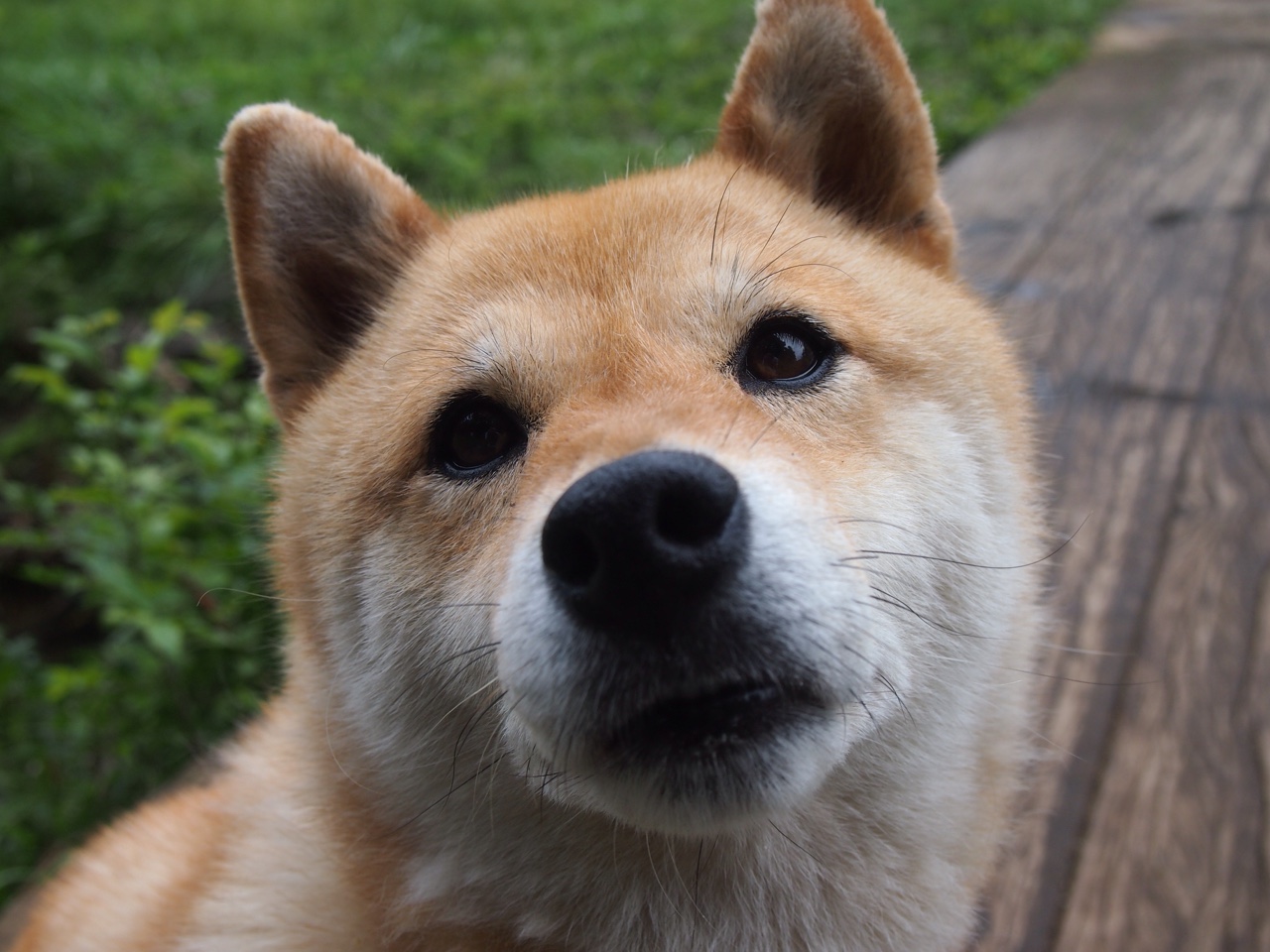 奥地利指令,当电竞霸权强拆里昂,李刚仁用一记东决式绝杀接管世界