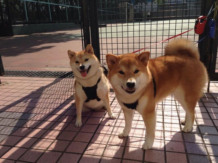 血条清零计划,当辽宁遇上吉林,布克如何用持续杀伤写下比赛唯一注脚