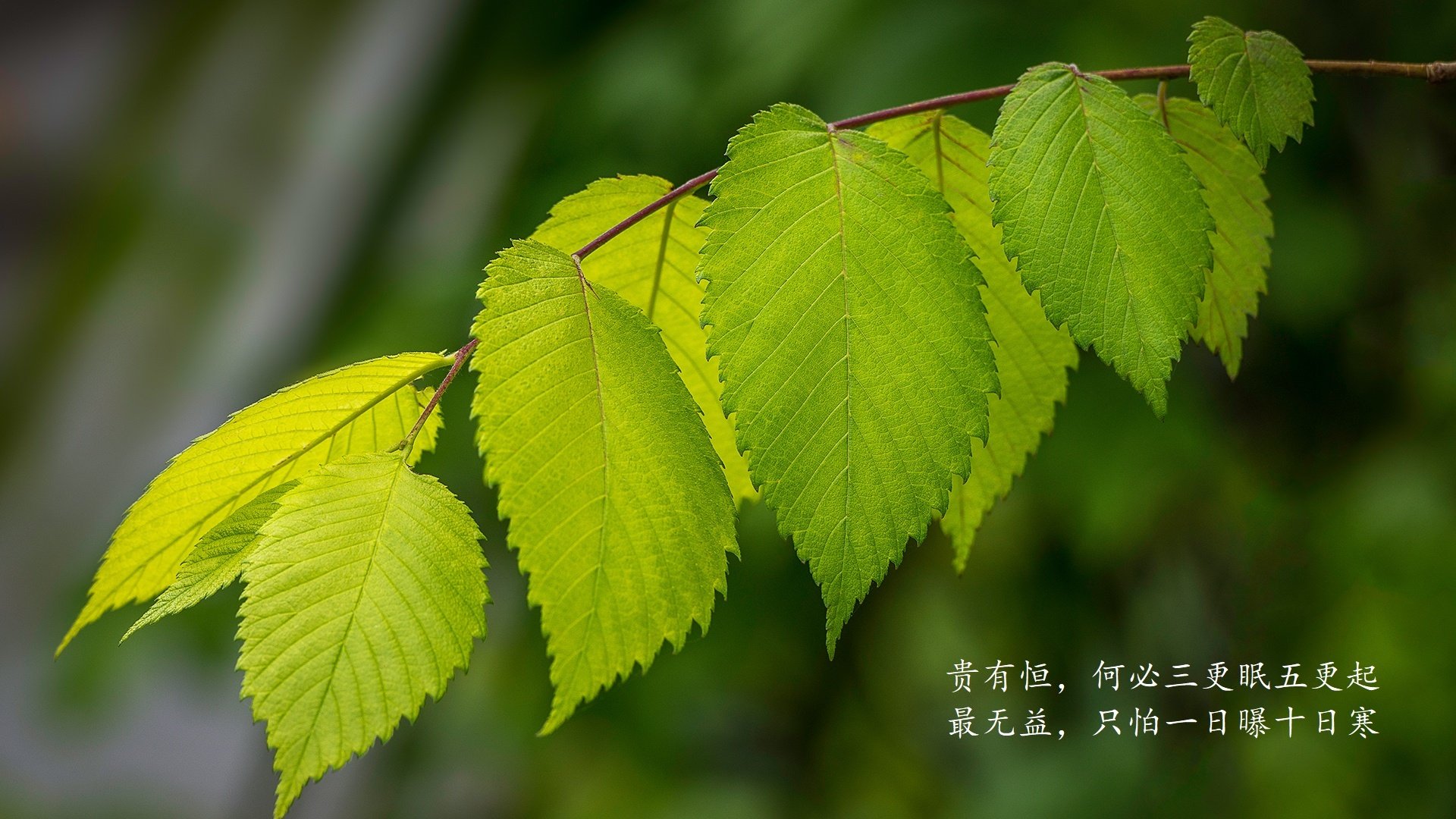 开云体育app-北境冰火，凯恩归化首秀，挪威3-2惊天逆转瑞典，2026世界杯G组生死战封神