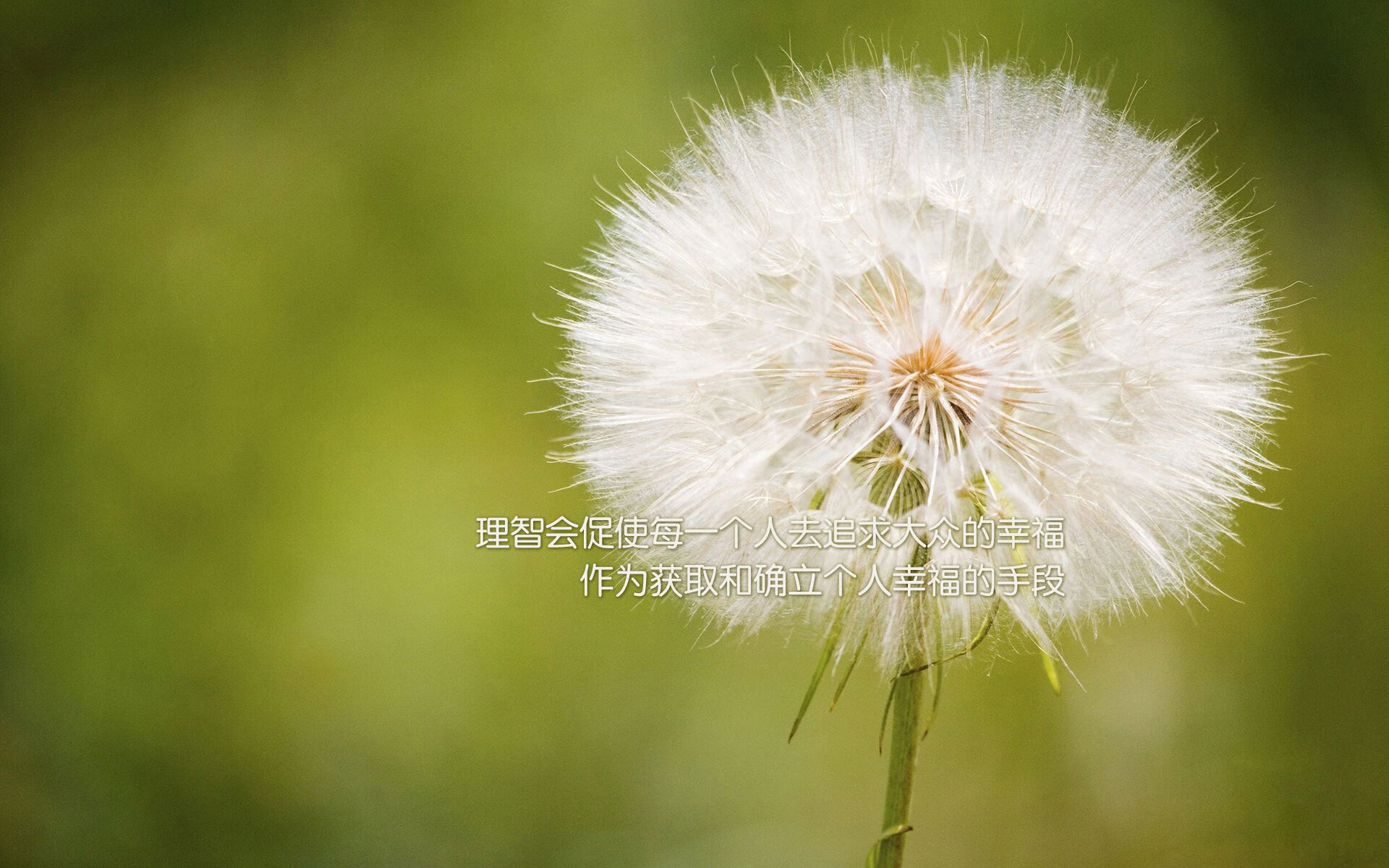 亚平宁的逆鳞，当意大利用防守之殇淬炼出最锋利的刃—2026世界杯B组生死战，托纳利引领绝境反杀
