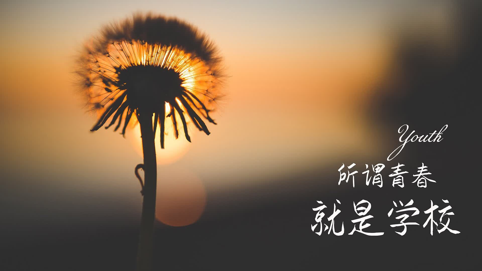 中亚铁骑踏碎两河雄狮，魔笛黄昏奏响F组最强音—记2026世界杯F组一场非典型的神迹之战